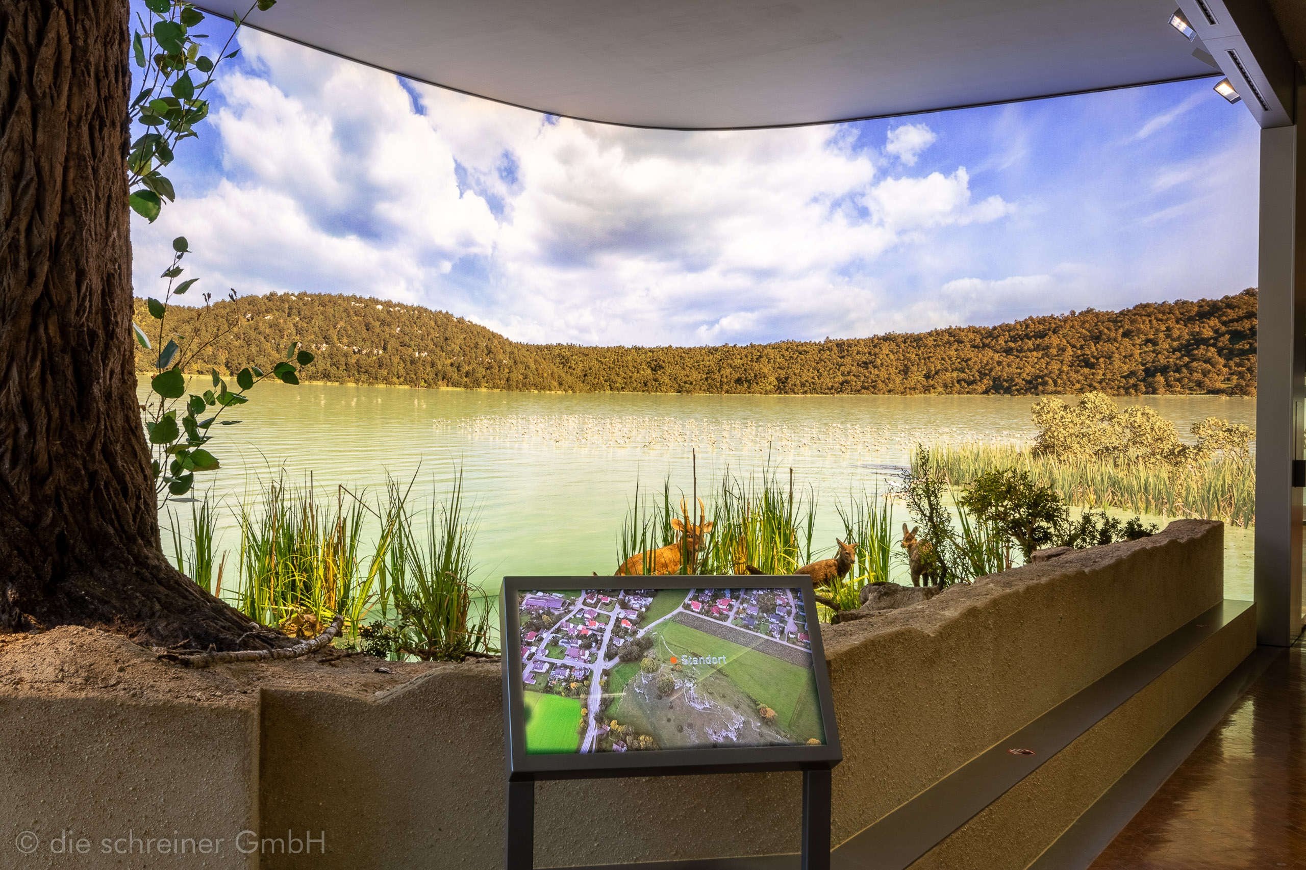 Naturkundemuseum Stuttgart