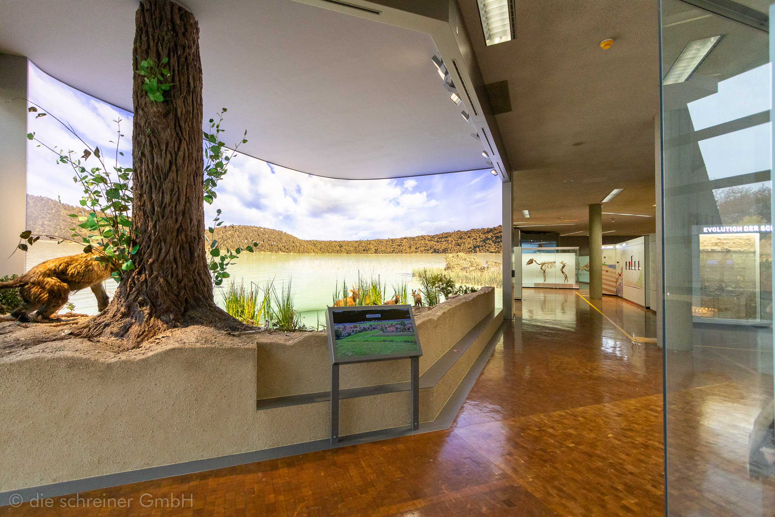 Naturkundemuseum Stuttgart